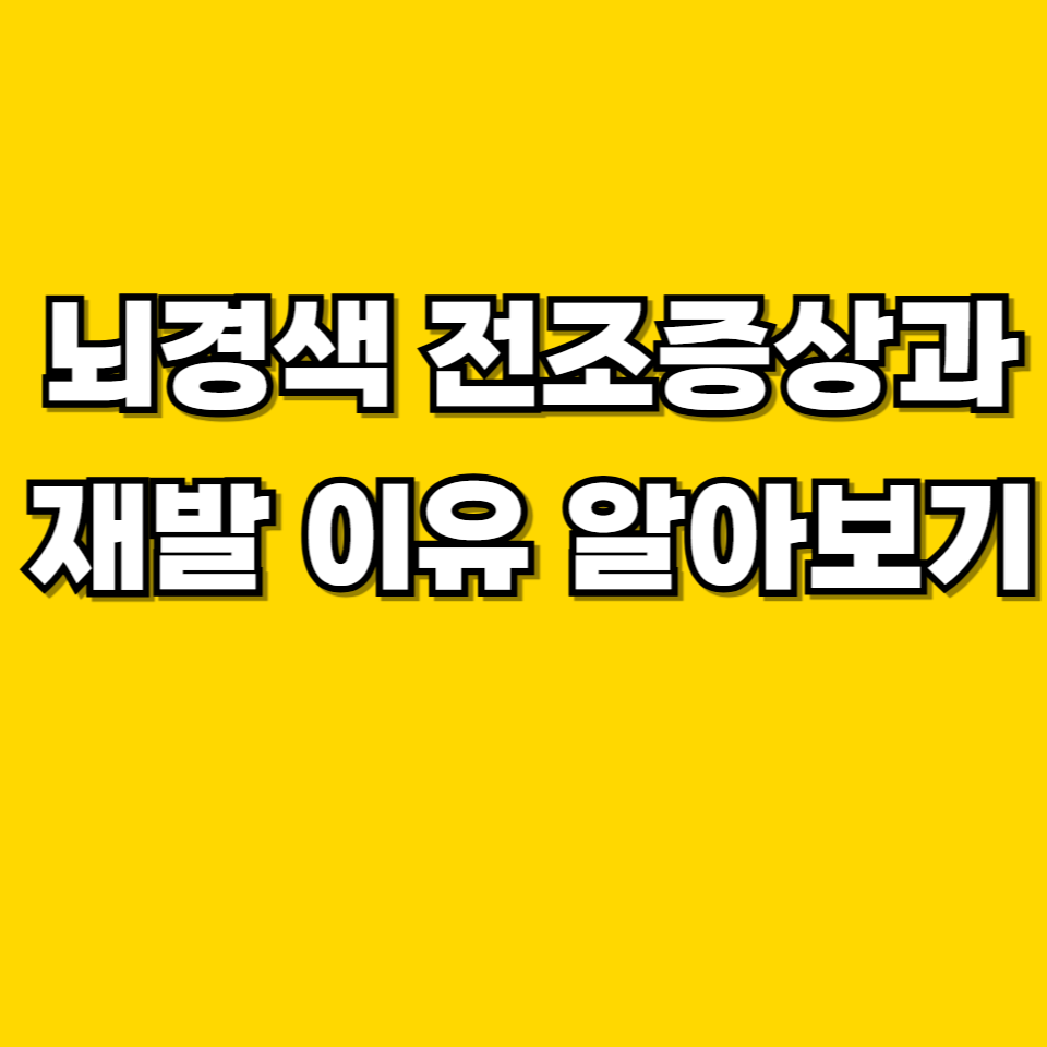 제목을 입력해주세요 001 2026 05 10T213607.572