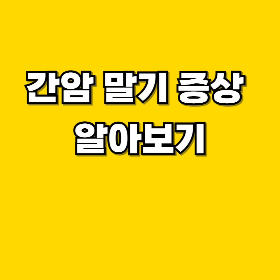 제목을 입력해주세요 001 2026 05 18T224147.126