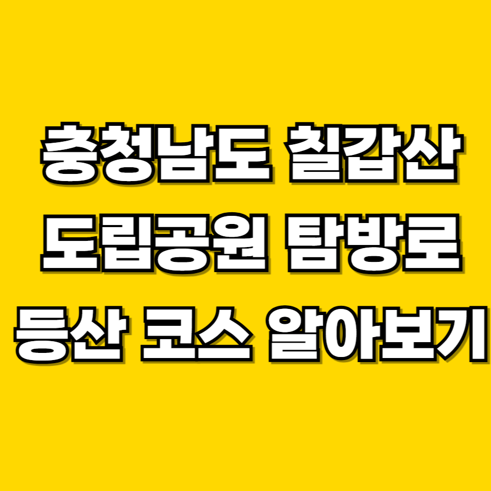 제목을 입력해주세요 001 2026 06 20T225348.393