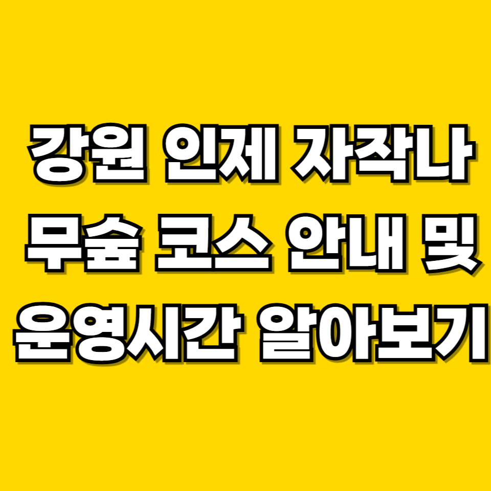 제목을 입력해주세요 001 2026 06 20T225402.049