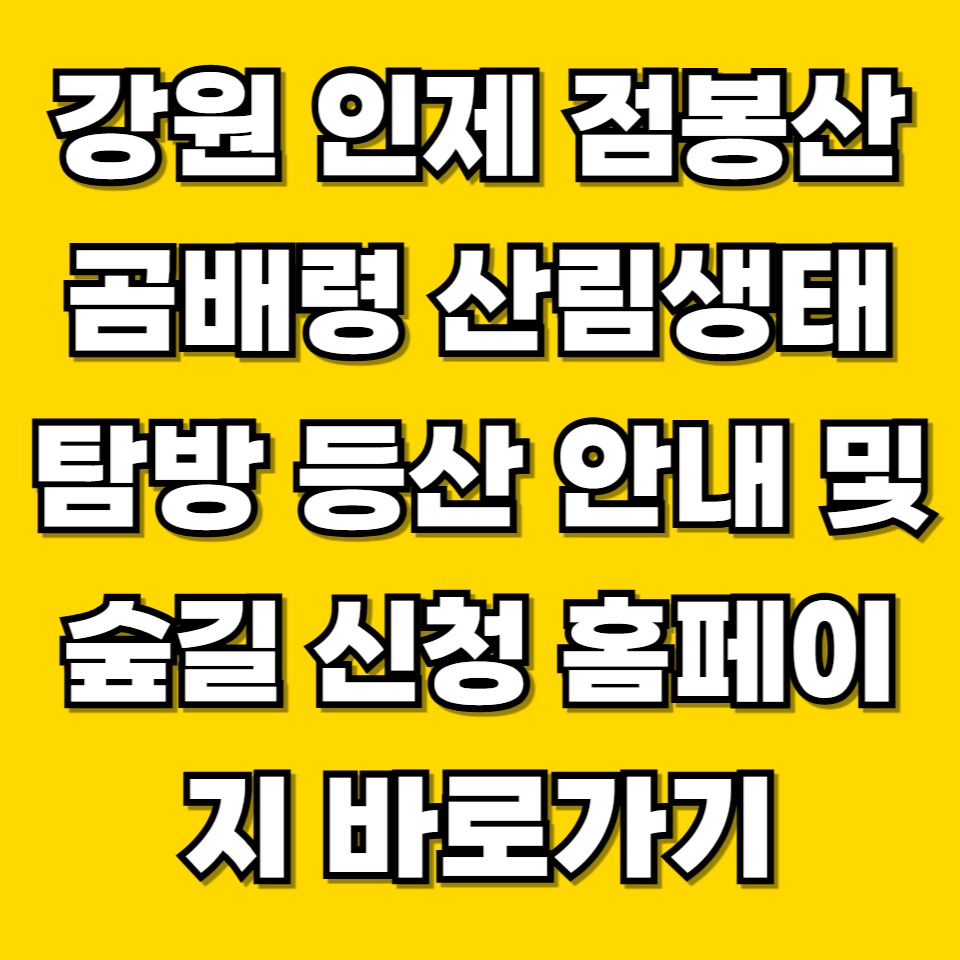 제목을 입력해주세요 001 2026 06 20T225415.158