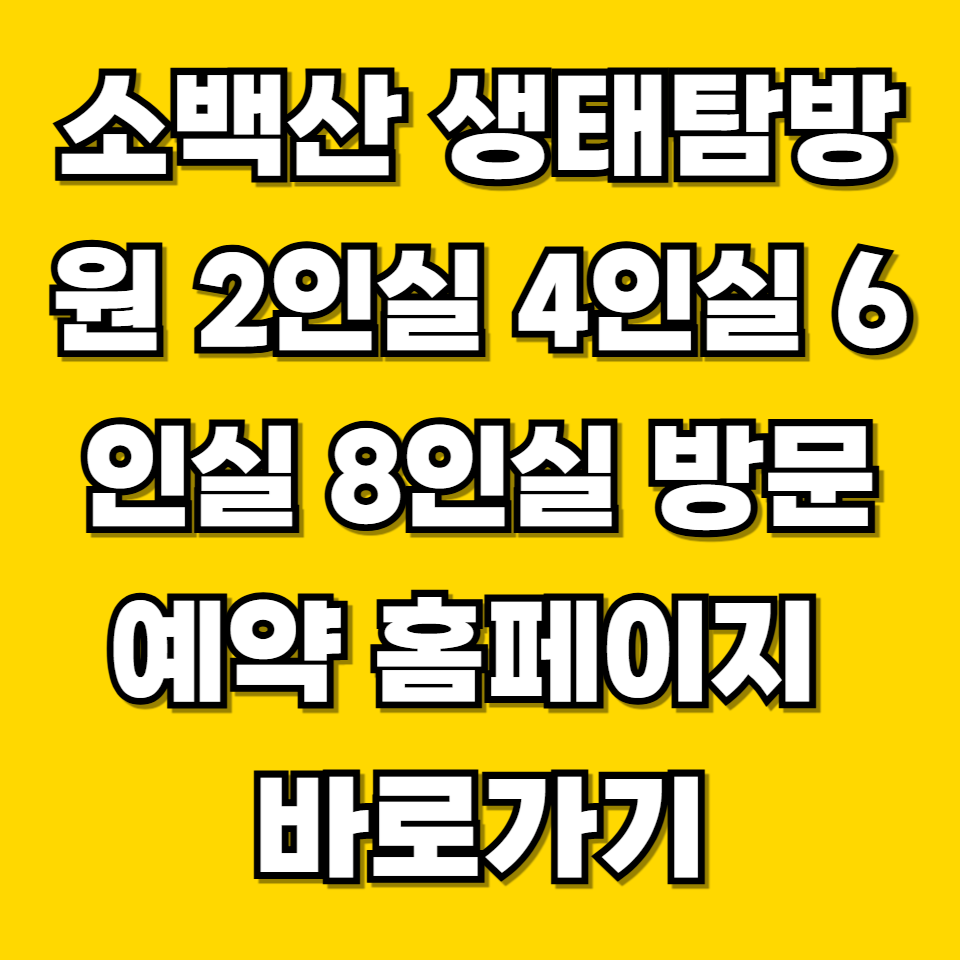 제목을 입력해주세요 001 2026 06 21T211705.692